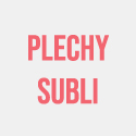 Plechy